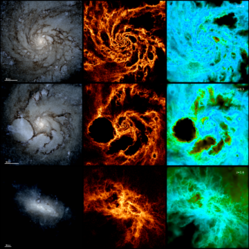 The evolution of a Milky Way-like galaxy over time